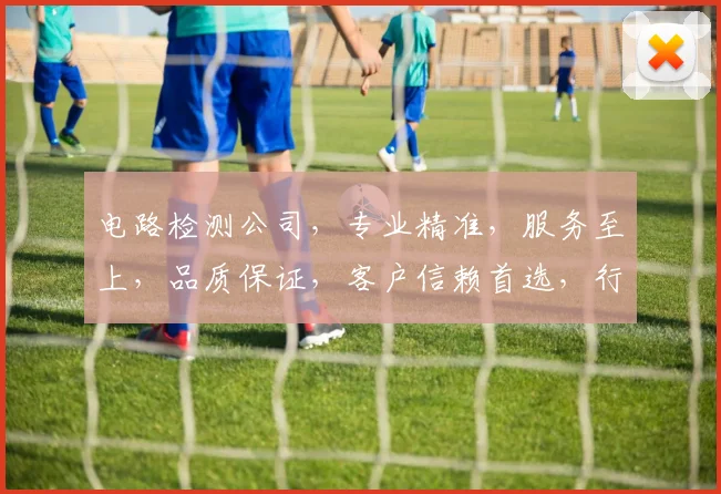 电路检测公司，专业精准，服务至上，品质保证，客户信赖首选，行业领先品牌。