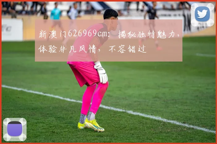 新澳门626969cm：揭秘独特魅力，体验非凡风情，不容错过