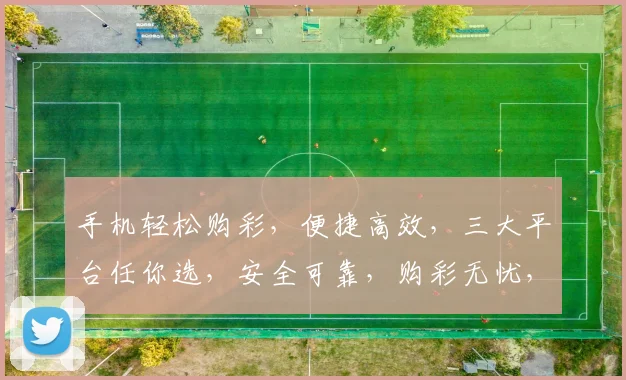 手机轻松购彩，便捷高效，三大平台任你选，安全可靠，购彩无忧，体验非凡